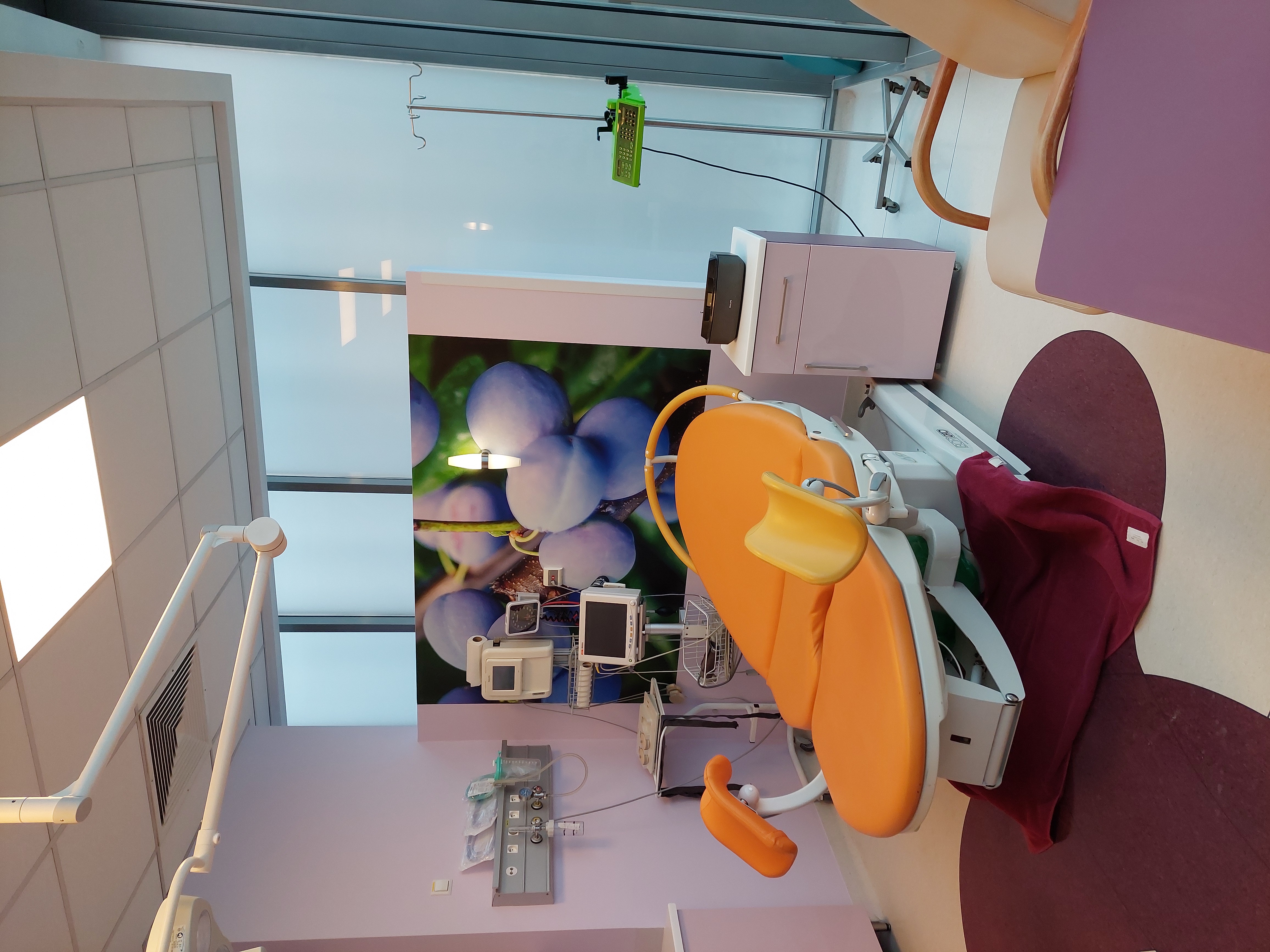 sala_orzechowa