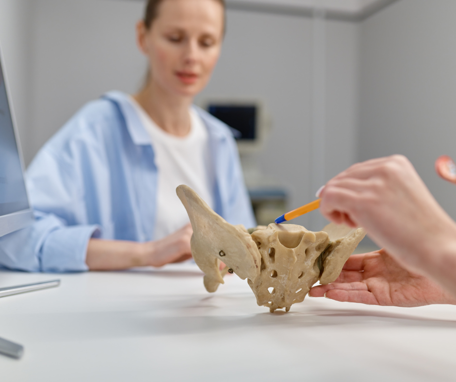 O mięśniach dna miednicy słów kilka